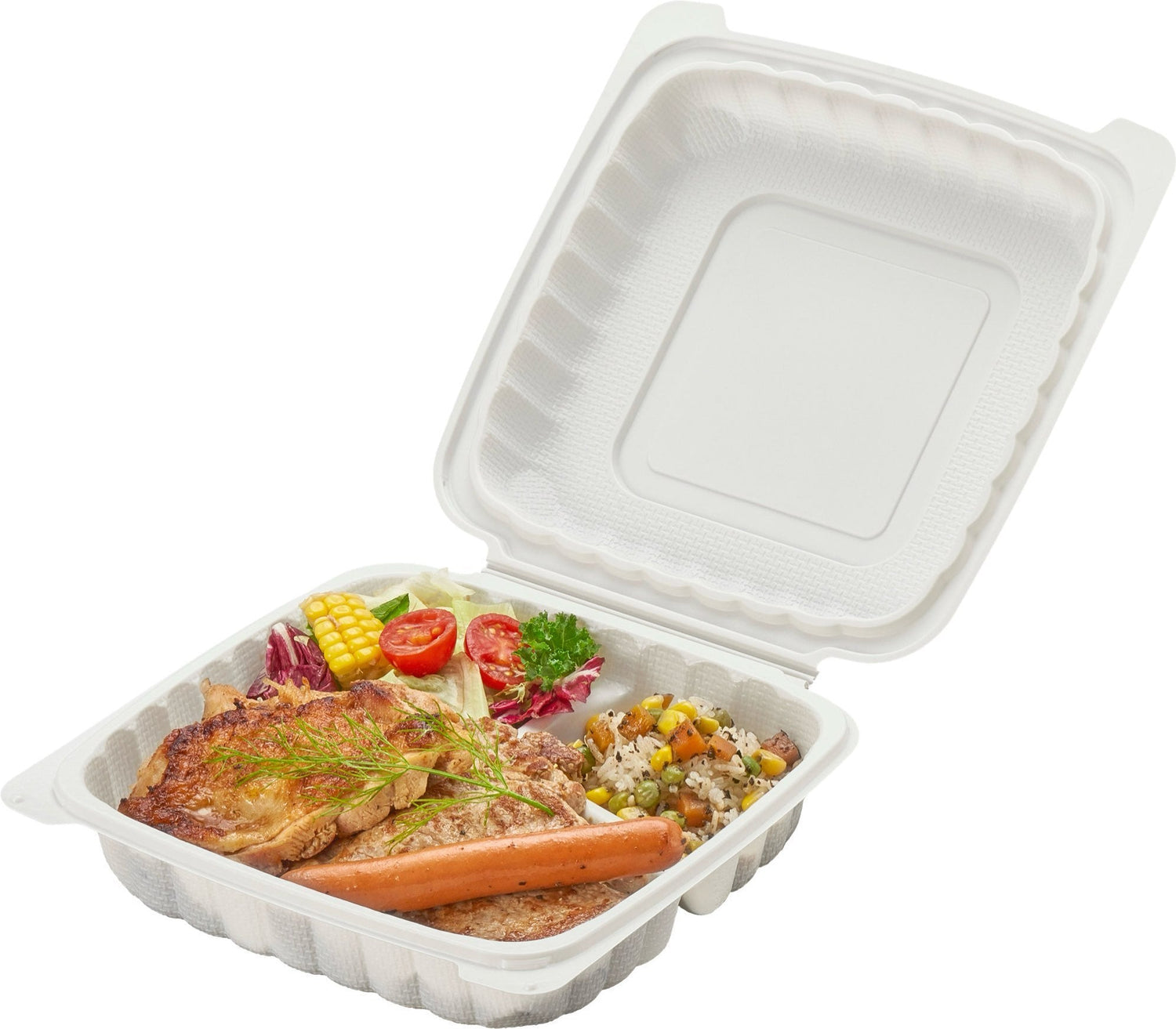 Plastic Hinged Container