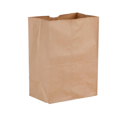 Kraftpaper Bag 1/6 - 500/Case