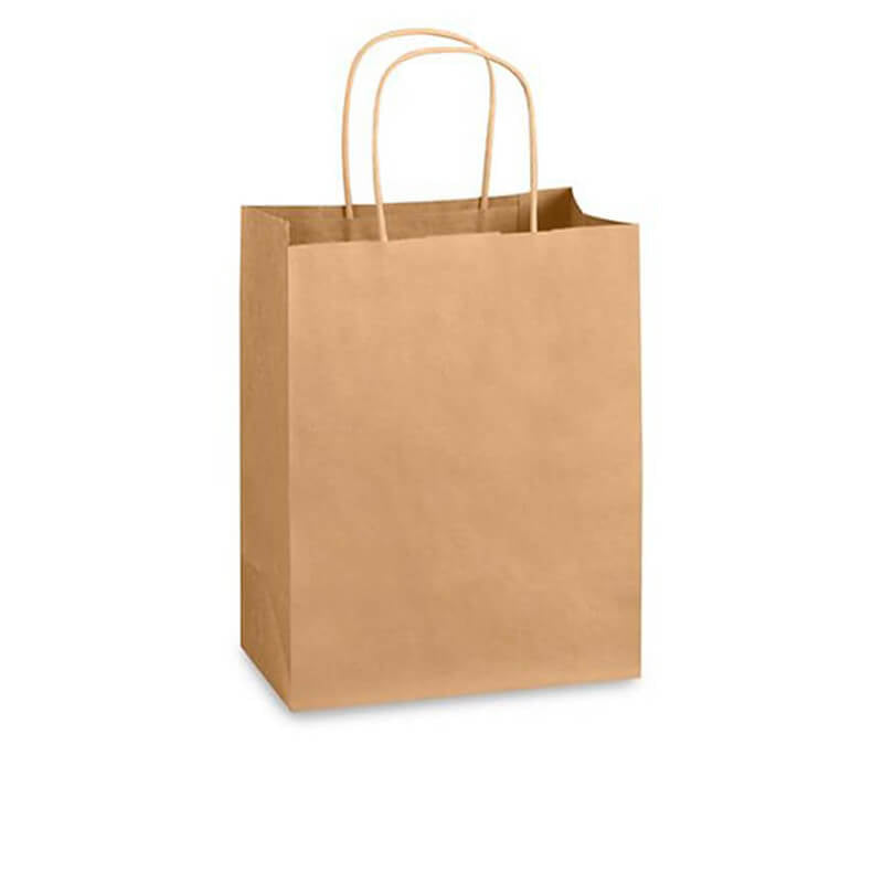 Kraftpaper bag with Handle-Large 250/Case