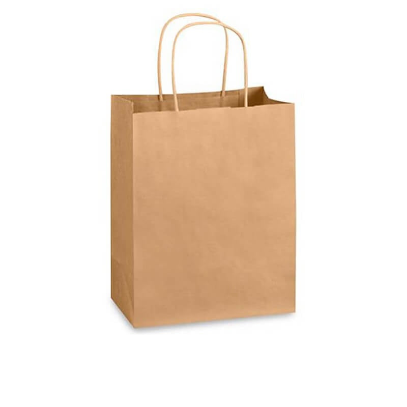 Kraftpaper bag with Handle-Median 250/Case